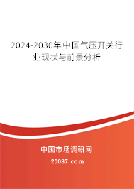 2024-2030年中国气压开关行业现状与前景分析