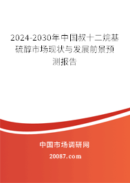 2024-2030年中国叔十二烷基硫醇市场现状与发展前景预测报告