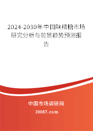 2024-2030年中国味精糖市场研究分析与前景趋势预测报告