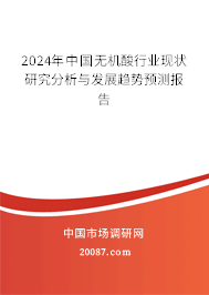 2024年中国无机酸行业现状研究分析与发展趋势预测报告