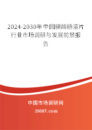 2024-2030年中国胰酶肠溶片行业市场调研与发展前景报告