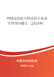 中国油页岩市场调研与发展前景预测报告（2024年）