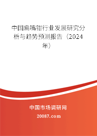 中国扁嘴钳行业发展研究分析与趋势预测报告（2024年）