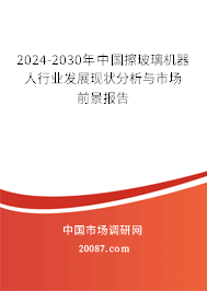 2024-2030年中国擦玻璃机器人行业发展现状分析与市场前景报告