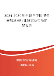 2024-2030年全球与中国服务器加速器行业研究及市场前景报告