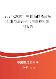 2024-2030年中国晶圆级封装行业发展调研与前景趋势预测报告