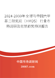 2024-2030年全球与中国六甲基二硅氮烷（HMDS）行业市场调研及前景趋势预测报告