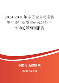 2024-2030年中国全自动灌装生产线行业发展研究分析与市场前景预测报告