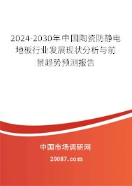 2024-2030年中国陶瓷防静电地板行业发展现状分析与前景趋势预测报告