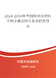 2024-2030年中国银纳米材料市场全面调研与发展趋势预测