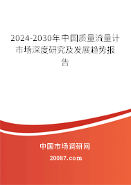 2024-2030年中国质量流量计市场深度研究及发展趋势报告