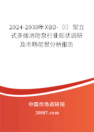 2024-2030年XBD-（I）型立式多级消防泵行业现状调研及市场前景分析报告