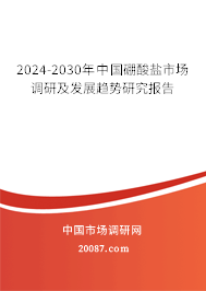 2024-2030年中国硼酸盐市场调研及发展趋势研究报告