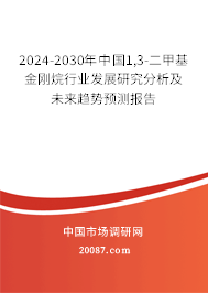 2024-2030年中国1,3-二甲基金刚烷行业发展研究分析及未来趋势预测报告