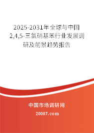 2025-2031年全球与中国2,4,5-三氯硝基苯行业发展调研及前景趋势报告 2025-2031年全球与中国2,4,5-三氯硝基苯行业发展调研及前景趋势报告