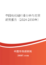 中国电视剧行业分析与前景趋势报告（2024-2030年）