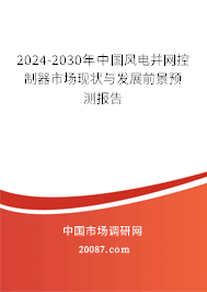 2024-2030年中国风电并网控制器市场现状与发展前景预测报告