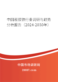 中国覆膜铁行业调研与趋势分析报告（2024-2030年）