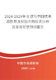 2024-2029年全球与中国抗冲改性尼龙树脂市场现状分析及发展前景预测报告