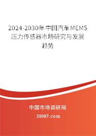 2024-2030年中国汽车MEMS压力传感器市场研究与发展趋势