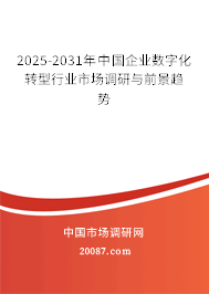 2025-2031年中国企业数字化转型行业市场调研与前景趋势 2025-2031年中国企业数字化转型行业市场调研与前景趋势