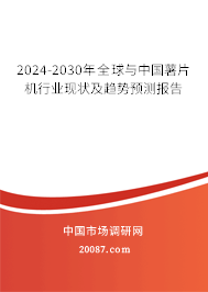 2024-2030年全球与中国薯片机行业现状及趋势预测报告