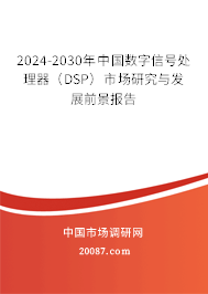 2024-2030年中国数字信号处理器（DSP）市场研究与发展前景报告