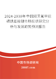 2024-2030年中国双三氟甲烷磺酰亚胺锂市场现状研究分析与发展趋势预测报告