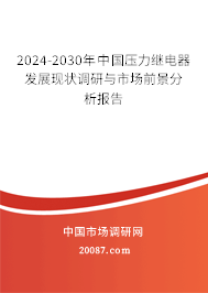 2024-2030年中国压力继电器发展现状调研与市场前景分析报告