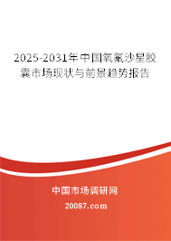 2025-2031年中国氧氟沙星胶囊市场现状与前景趋势报告 2025-2031年中国氧氟沙星胶囊市场现状与前景趋势报告