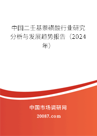 中国二壬基萘磺酸行业研究分析与发展趋势报告（2024年）