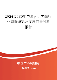 2024-2030年中国γ-丁内酯行业调查研究及发展前景分析报告