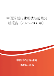 中国浮板行业现状与前景分析报告(2025-2031年) 中国浮板行业现状与前景分析报告(2025-2031年)