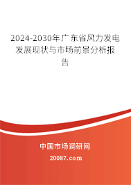 2024-2030年广东省风力发电发展现状与市场前景分析报告