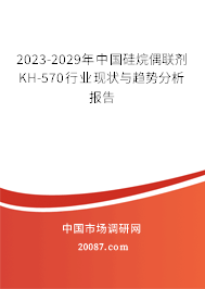 2023-2029年中国硅烷偶联剂KH-570行业现状与趋势分析报告