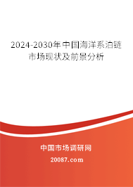 2024-2030年中国海洋系泊链市场现状及前景分析