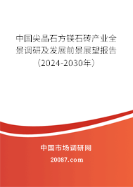 中国尖晶石方镁石砖产业全景调研及发展前景展望报告（2024-2030年）