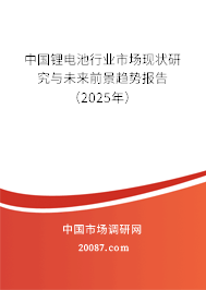 中国锂电池行业市场现状研究与未来前景趋势报告(2025年) 中国锂电池行业市场现状研究与未来前景趋势报告(2025年)