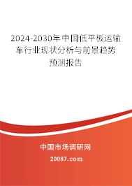 2024-2030年中国低平板运输车行业现状分析与前景趋势预测报告