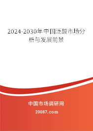 2024-2030年中国泛酸市场分析与发展前景