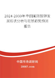 2024-2030年中国氟硅酸钾发展现状分析与前景趋势预测报告