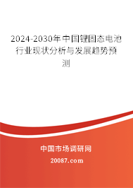 2024-2030年中国锂固态电池行业现状分析与发展趋势预测