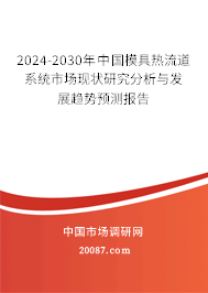 2024-2030年中国模具热流道系统市场现状研究分析与发展趋势预测报告