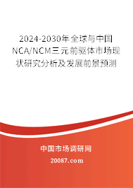 2024-2030年全球与中国NCA/NCM三元前驱体市场现状研究分析及发展前景预测