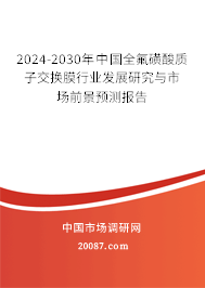 2024-2030年中国全氟磺酸质子交换膜行业发展研究与市场前景预测报告