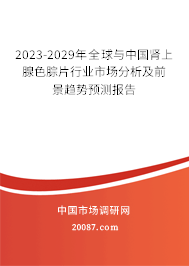 2023-2029年全球与中国肾上腺色腙片行业市场分析及前景趋势预测报告