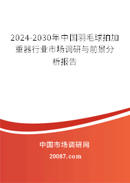 2024-2030年中国羽毛球拍加重器行业市场调研与前景分析报告