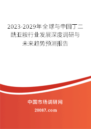 2023-2029年全球与中国丁二酰亚胺行业发展深度调研与未来趋势预测报告