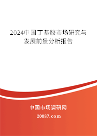 2024中国丁基胶市场研究与发展前景分析报告