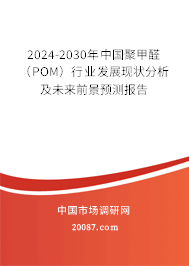 2024-2030年中国聚甲醛（POM）行业发展现状分析及未来前景预测报告